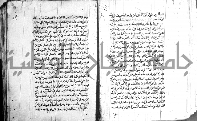 العقود الجوهرية 