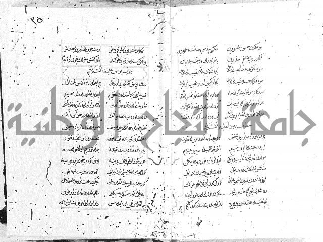 كتاب يوسف زليخا المؤلف 