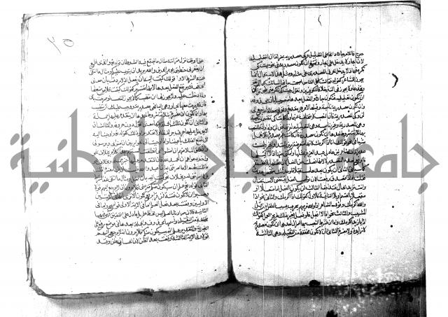 شرح شذور الذهب لابن هشام