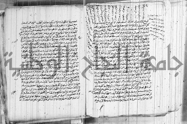المجالس السنية