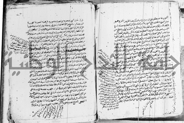 الزيادي على المنهج 