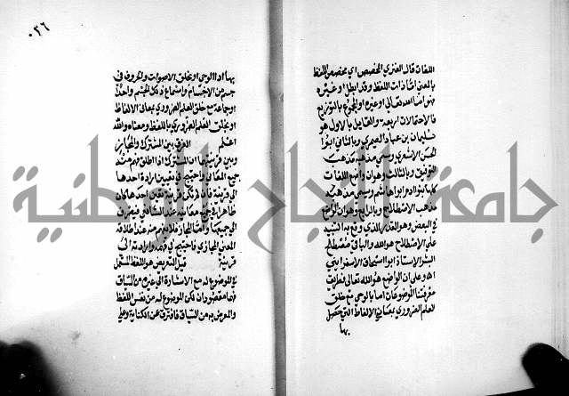 الرسالة البيانية