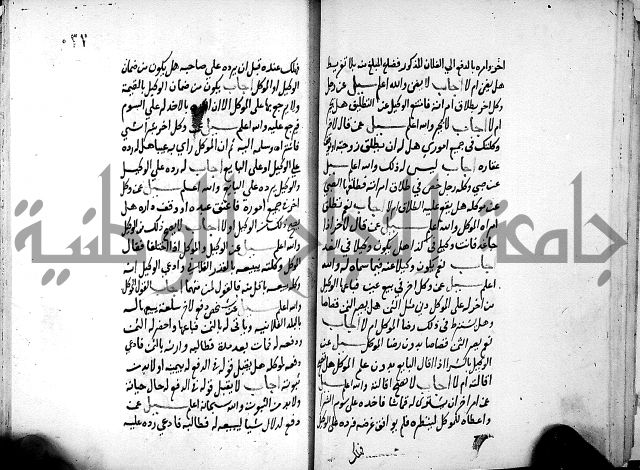 الفتاوى الامينية