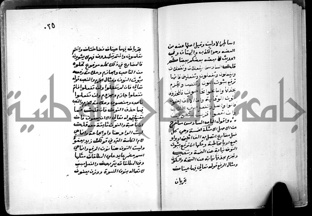 شرح شذور الذهب في معرفة كلام العرب 