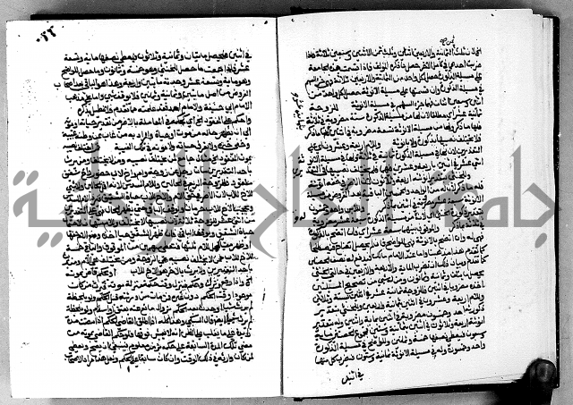 مختصر حاشية القهوتي 