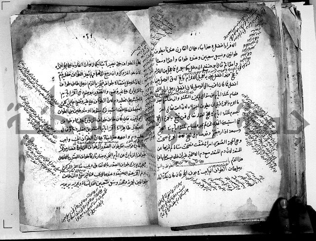 مذهب ابي حنيفة في الفقة