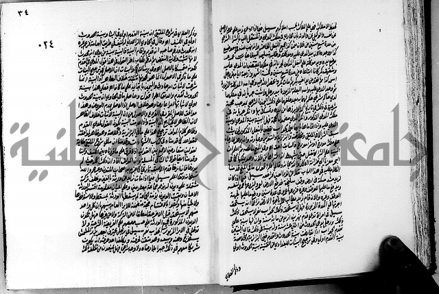 الجواهر الدورية في تنقيح الفتاوى الحامدية ج2 