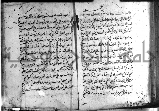 ديوان الصرصري