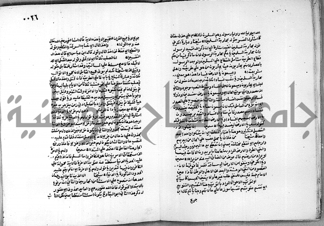 حاشية الجمل على الجلالين 