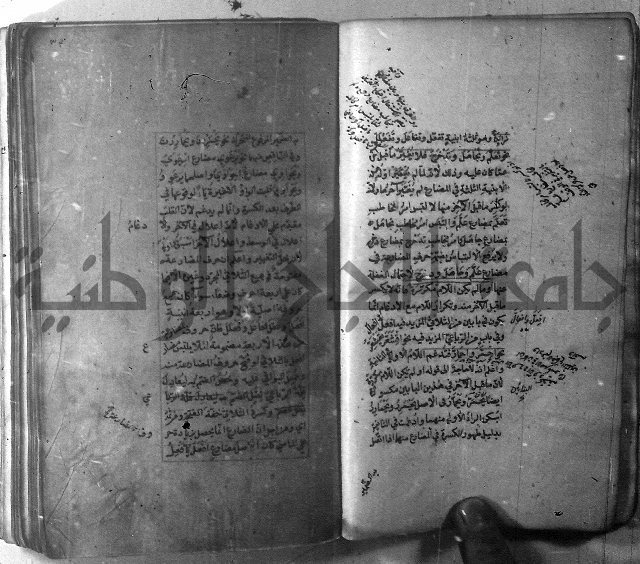 شرح الشافية 