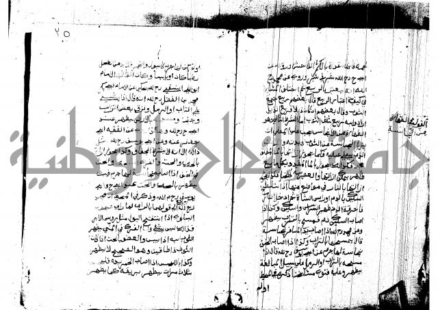 منية المصلي للنصراوي