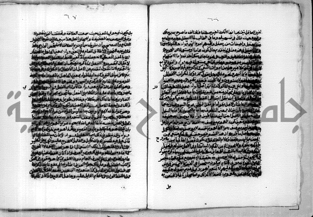 حاشية الشبراملي على شرح الورقات لابن قاسم العبادي