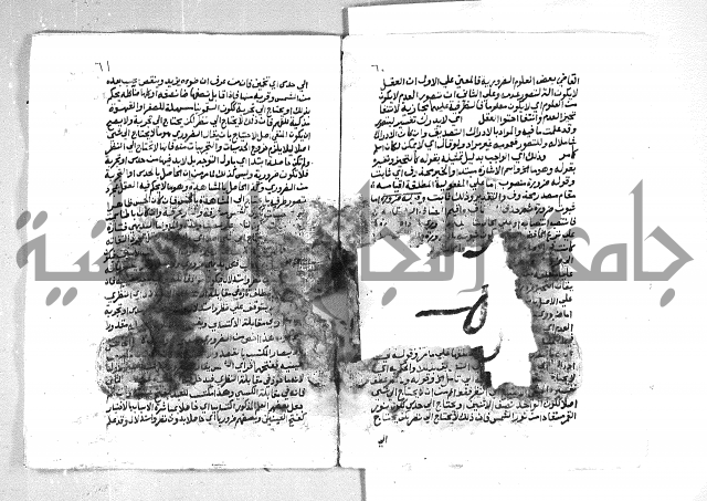 الهدهدي 