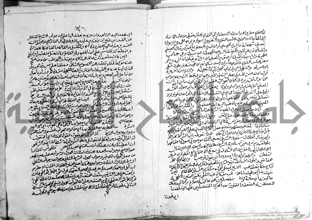 كتاب في اللغة العربية