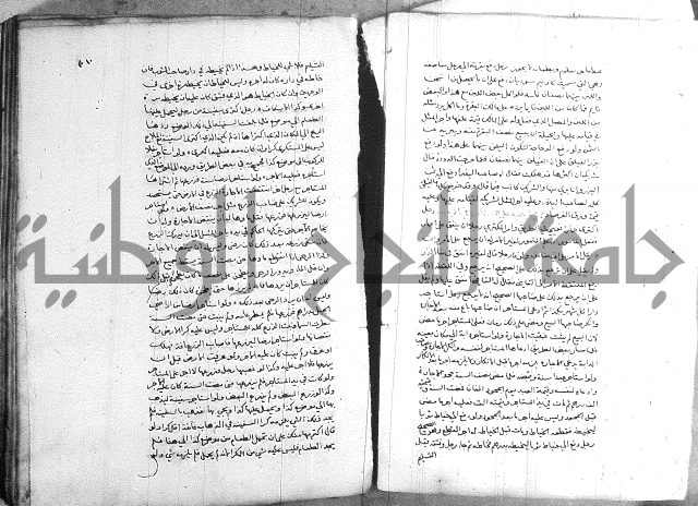 خزانة المفتين