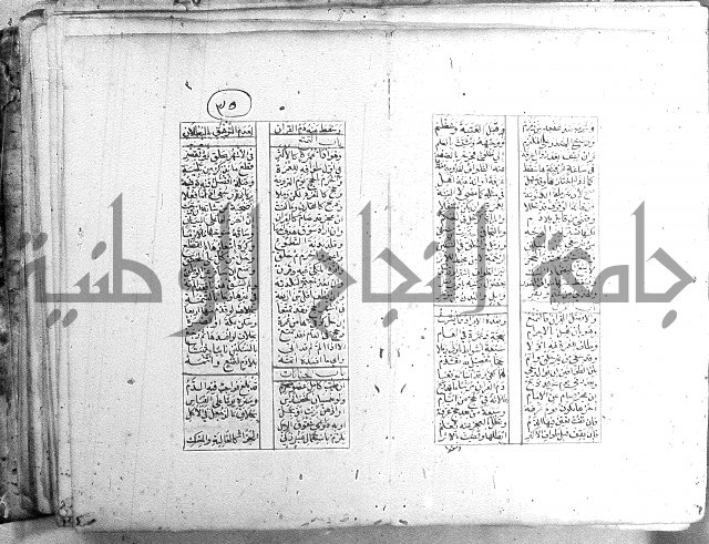 خلاصة التنوير 