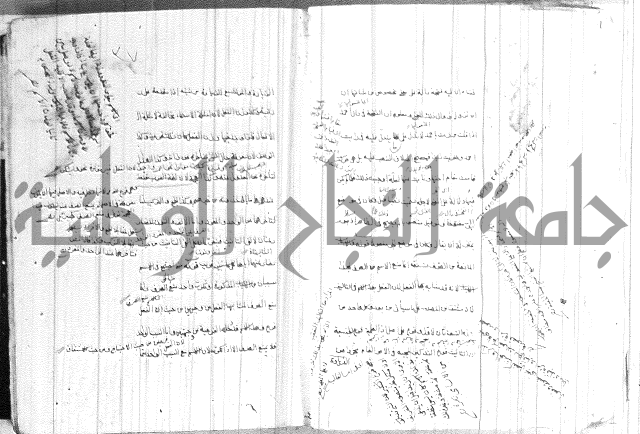 ضوء في علم النحو