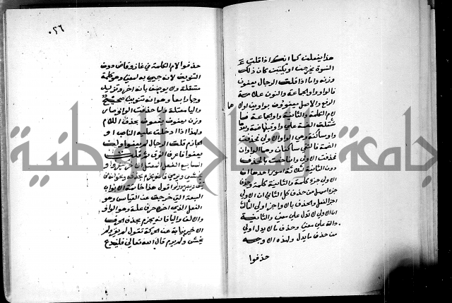 شرح شذور الذهب في معرفة كلام العرب 