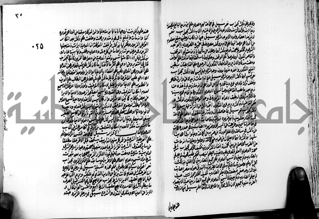 الجواهر الدورية في تنقيح الفتاوى الحامدية ج2 