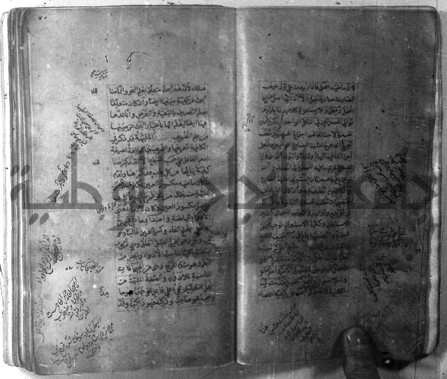 شرح الشافية 