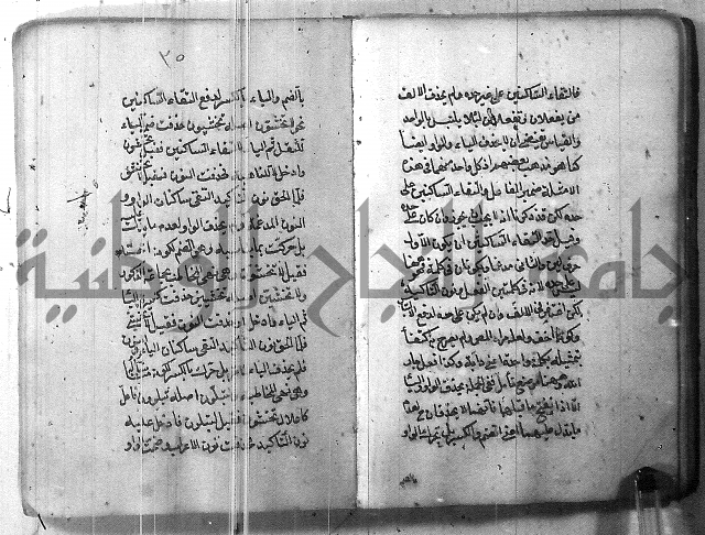 التفنن في الصرف