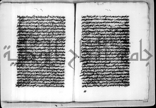 حاشية الشبراملي على شرح الورقات لابن قاسم العبادي