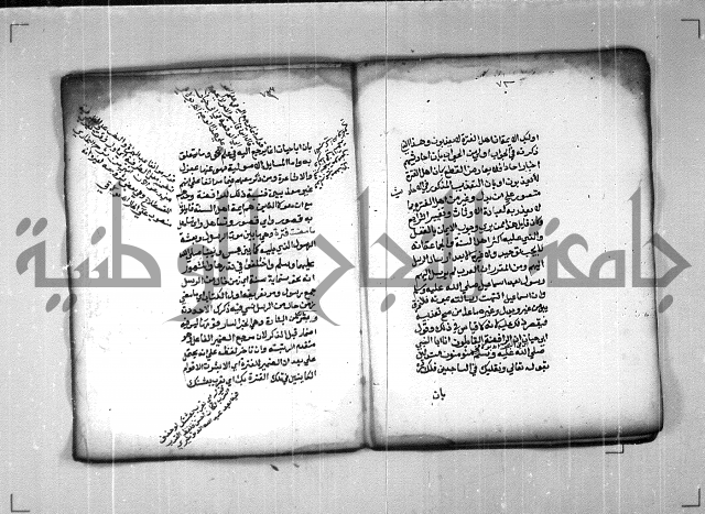 شرح الهمزية  