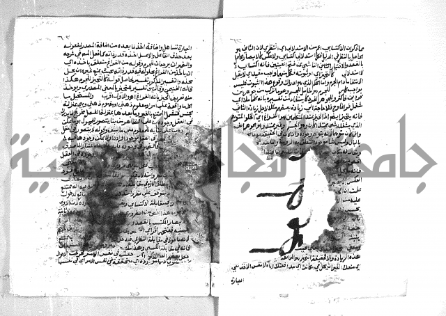 الهدهدي 