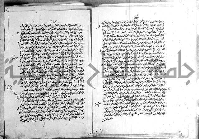 كتاب في اللغة العربية