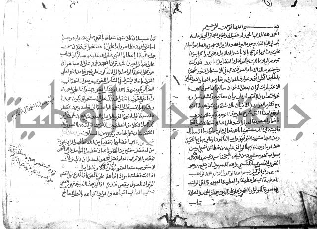 شرح الاستعارة الصغير للملوي