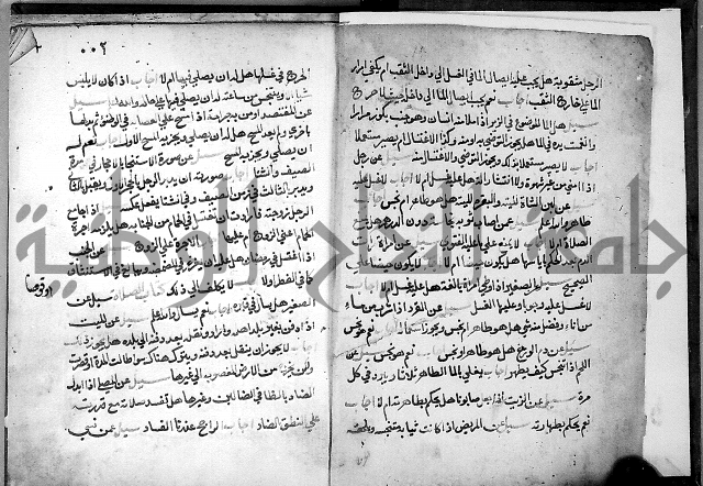 الفتاوى الامينية