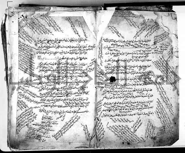 مذهب ابي حنيفة في الفقة