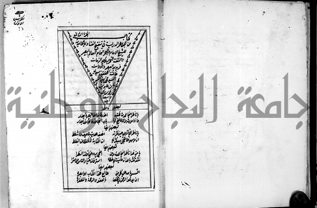 الجواهر الدورية في تنقيح الفتاوى الحامدية ج2 