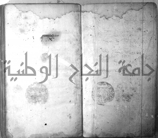 شرح الشافية 