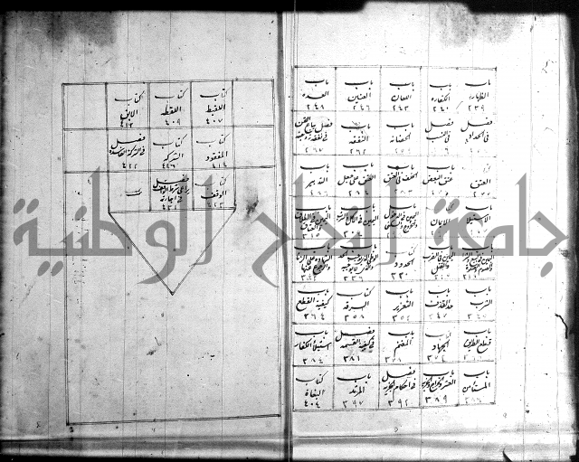 تنوير الابصار 
