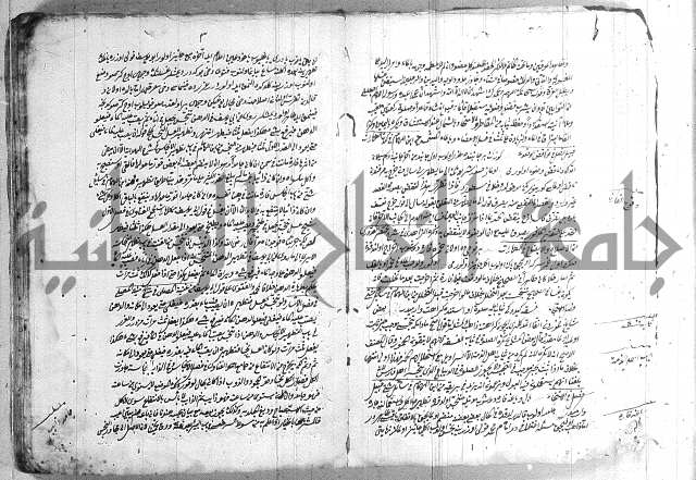 فتاوي تركية