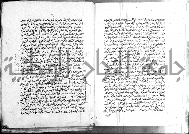 كتاب في اللغة العربية