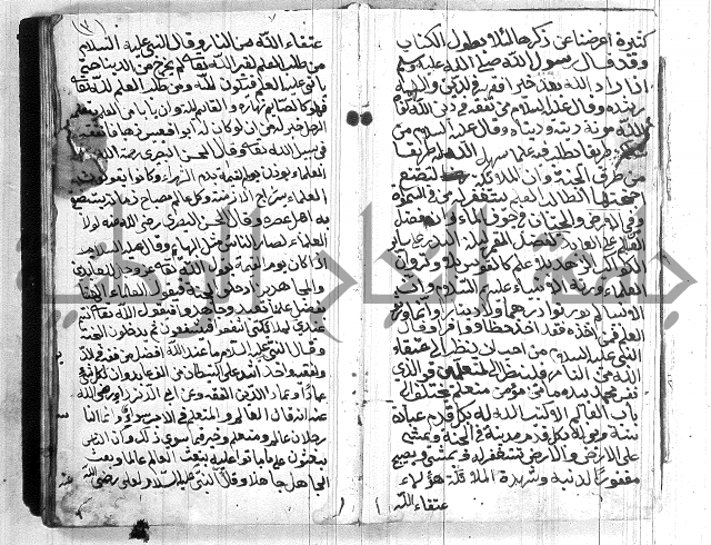 مختصر في العبادات