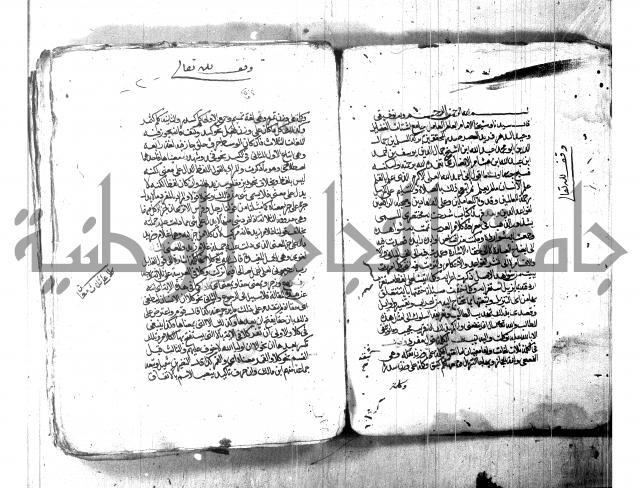 شرح شذور الذهب لابن هشام