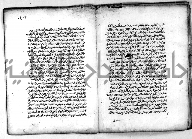 فقة من مخطوطات مسجد الحاج نمر النابلسي 