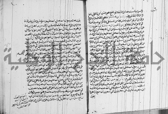 السيرة النبوية