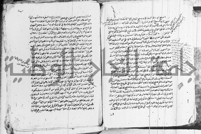 الزيادي على المنهج 