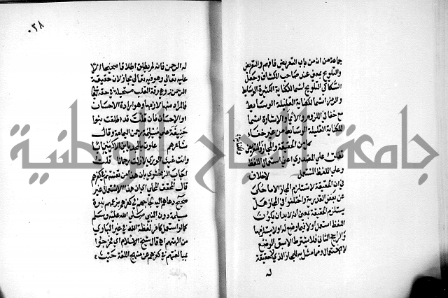 الرسالة البيانية