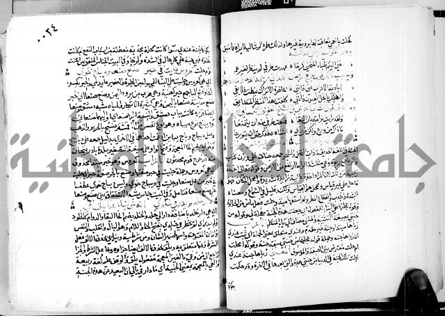 البحر الفائض في شرح ديوان ابن الفارض البوريني 