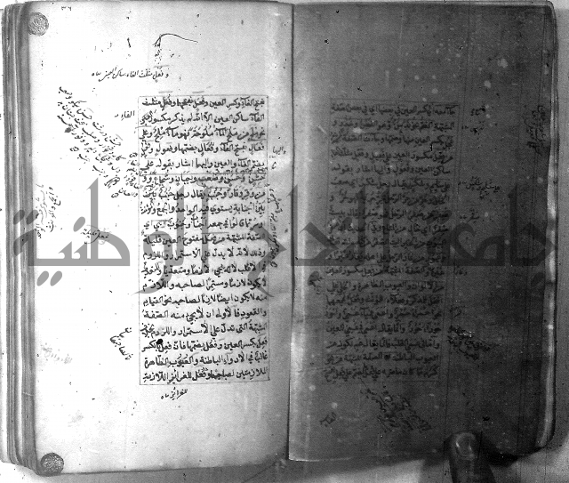 شرح الشافية 