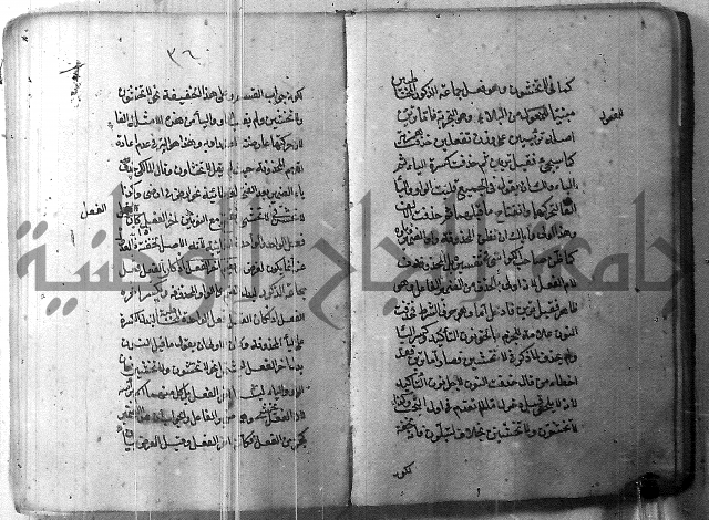 التفنن في الصرف