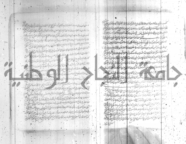 البسيط في الشروط