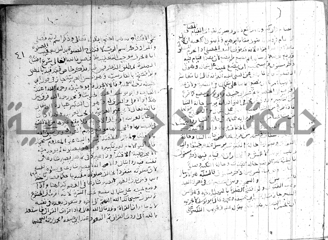 الفتاوى الولوالجية  