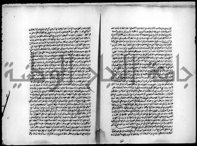 مجهول فقة 55