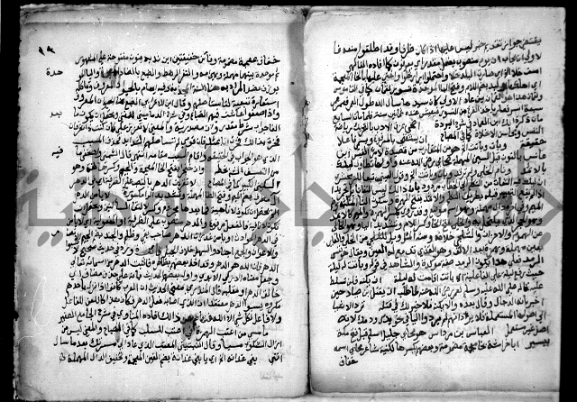 حاشية السجاعي على شرح قطر الندى وبل الصدى لابن هشام